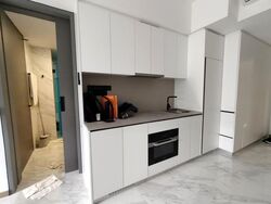 The Landmark (D3), Condominium #526244781